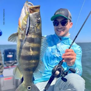 Isca Artificial Lucky By Nelson Nakamura Sogra 90- 9cm / 12g Cor 103